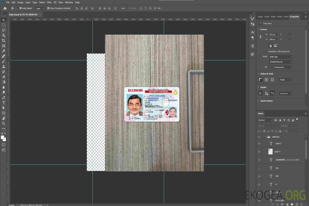 USA Illinois DL photolook AVANT template USA Illinois DL photolook AVANT template